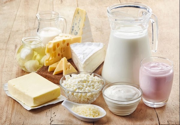 Probiotic Foods for lactose intolerant
